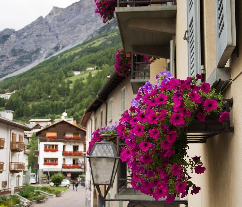 Meuble Albergo Dante Bormio Bagian luar foto